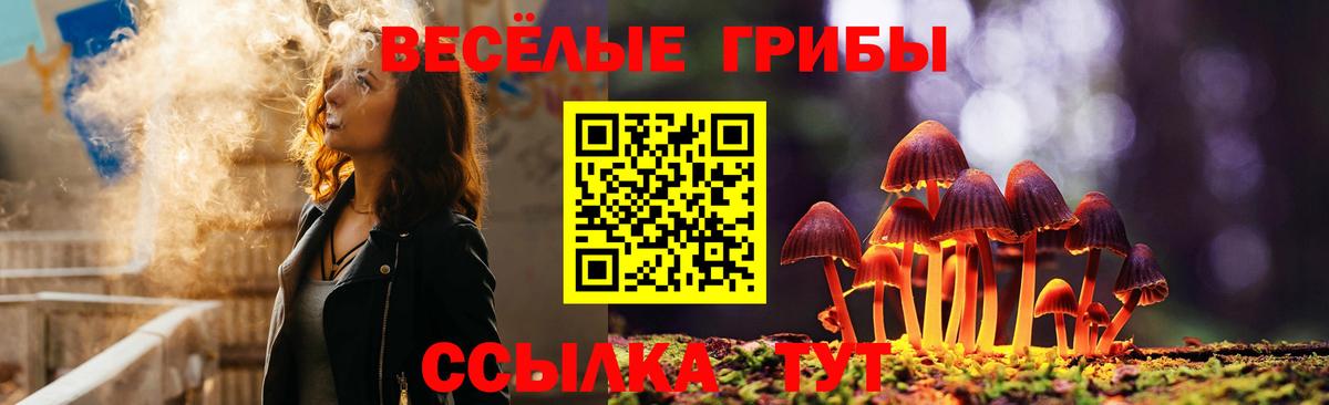 Галлюциногенные грибы прущие грибы Сунжа